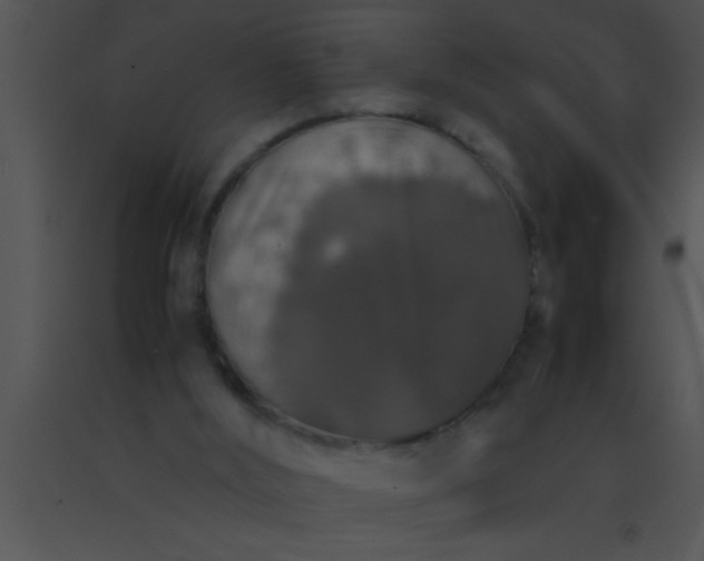 X0000091550012200708311404