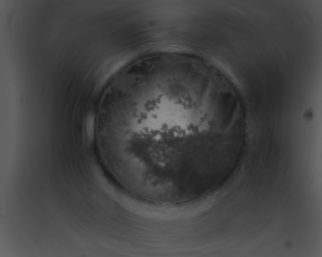X0000091550014200708311403