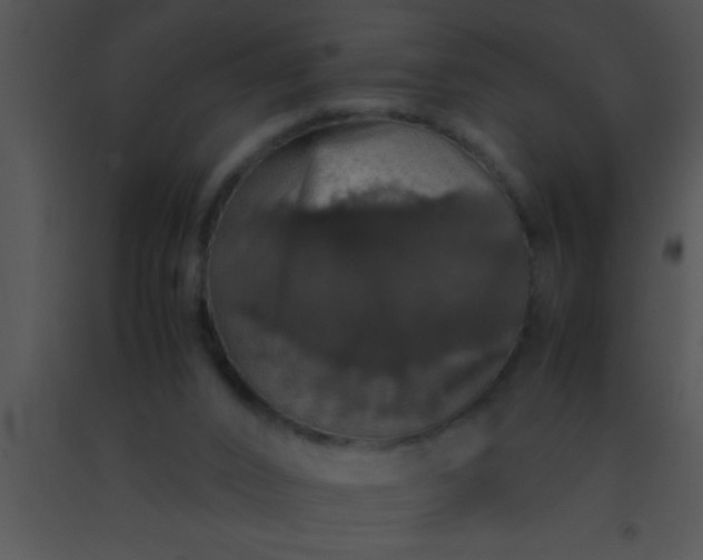 X0000091550016200708311403