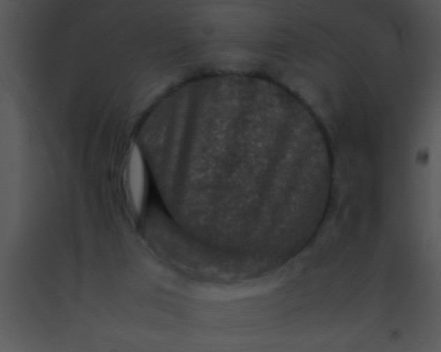 X0000091550017200708311403