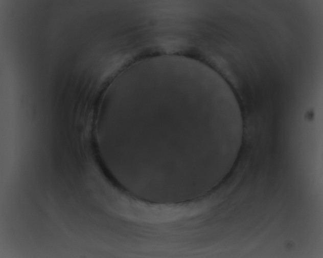 X0000091550018200708311403