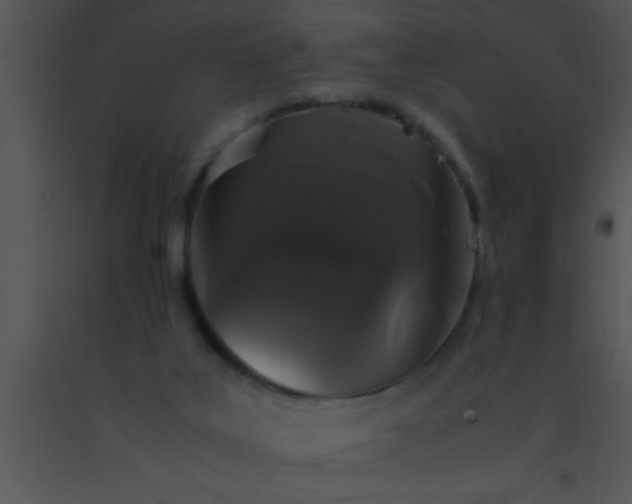 X0000091550019200708311403