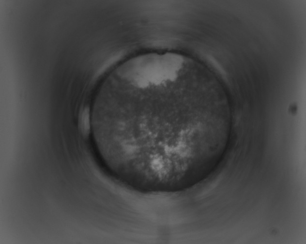 X0000091550020200708311403