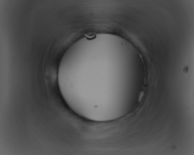 X0000091550021200708311403