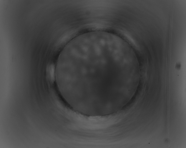 X0000091550022200708311403