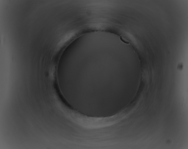 X0000091550023200708311403