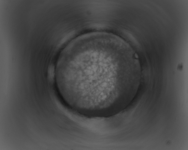 X0000091550024200708311403