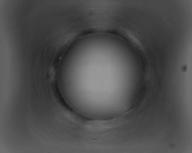 X0000091550025200708311403