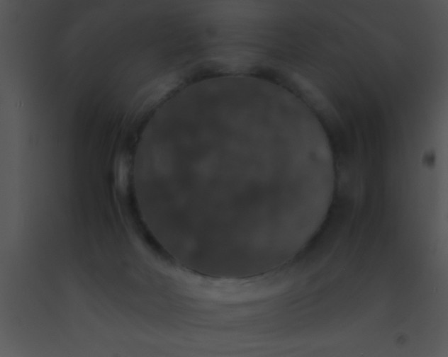 X0000091550026200708311403