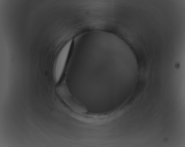 X0000091550027200708311403