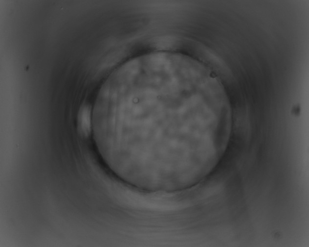 X0000091550028200708311403