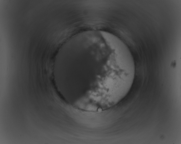 X0000091550030200708311403