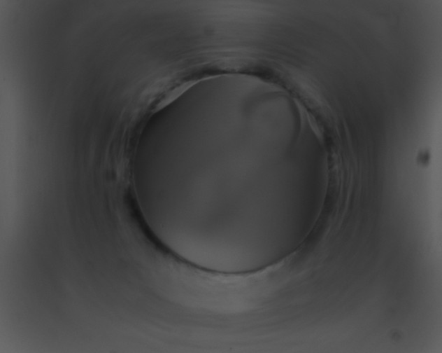 X0000091550031200708311403