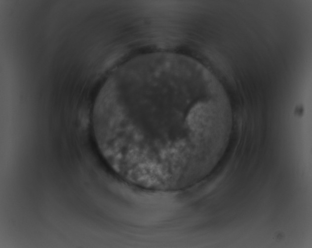 X0000091550032200708311403