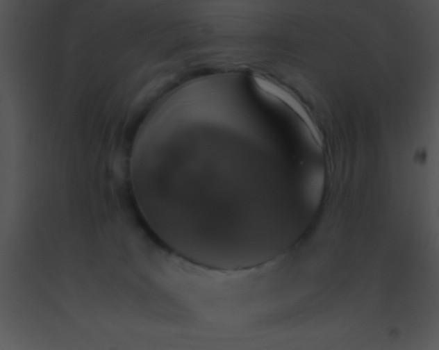 X0000091550035200708311403