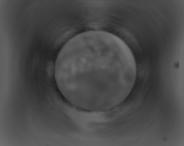 X0000091550036200708311403