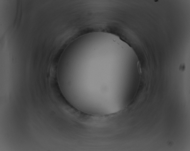 X0000091550037200708311403