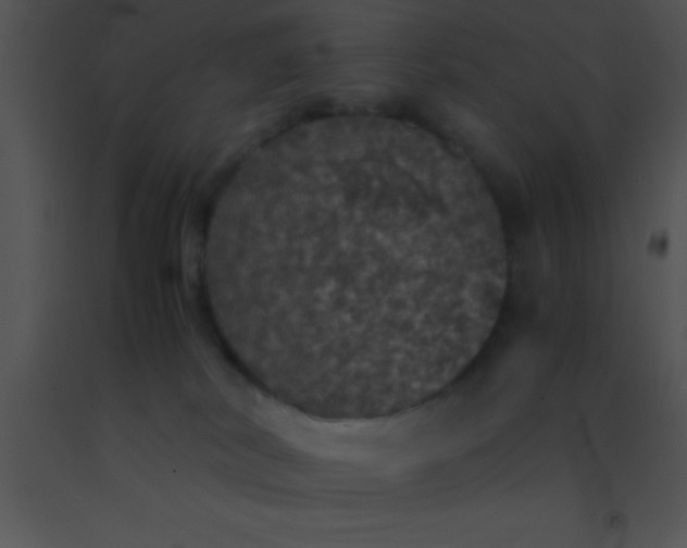 X0000091550038200708311403