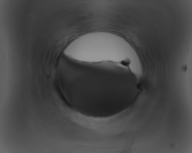 X0000091550039200708311403