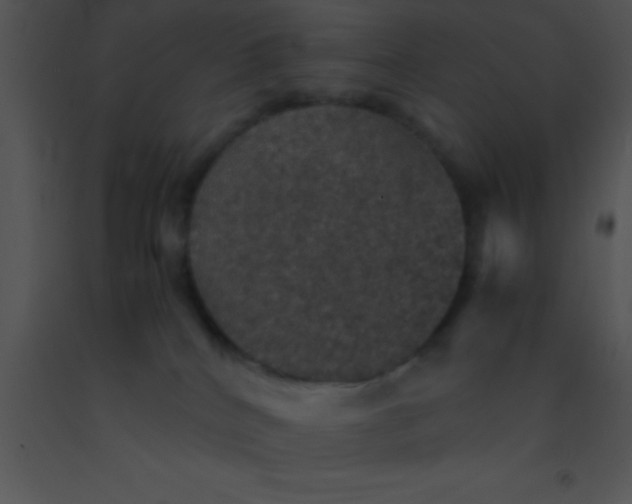 X0000091550040200708311403