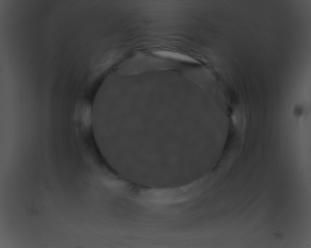 X0000091550041200708311403