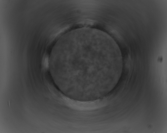 X0000091550042200708311403