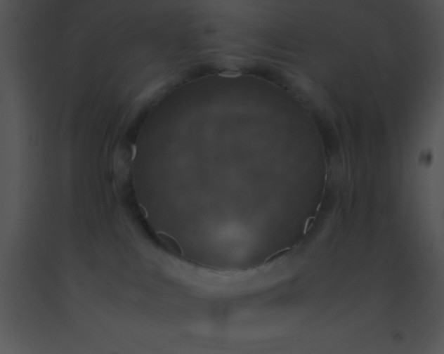X0000091550043200708311403