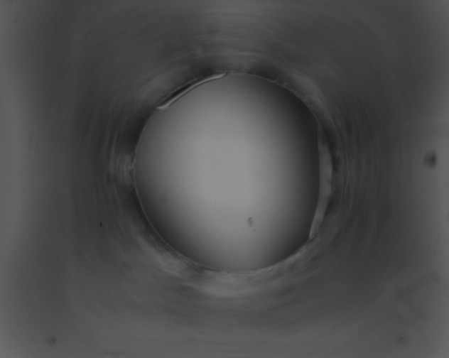 X0000091550045200708311403