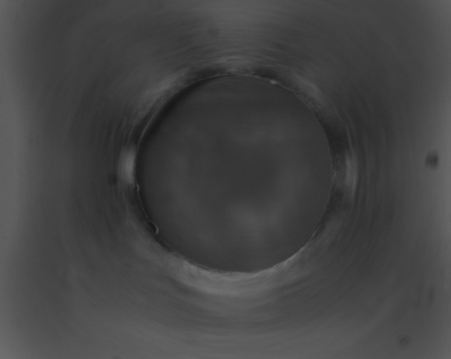 X0000091550047200708311403