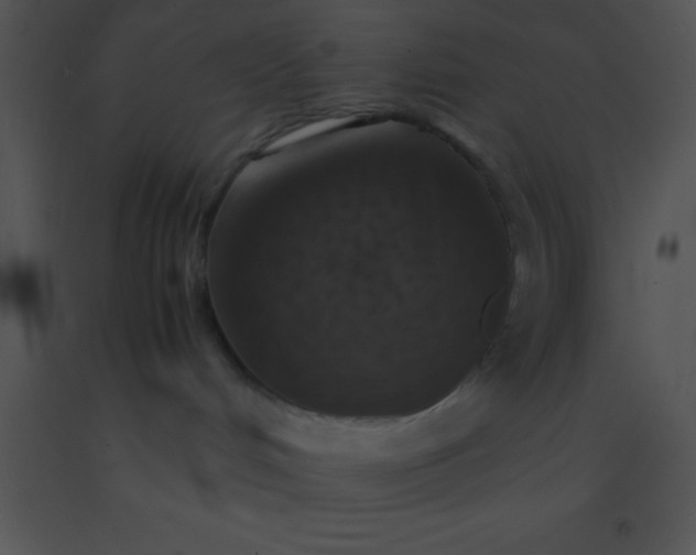 X0000091550048200708311403