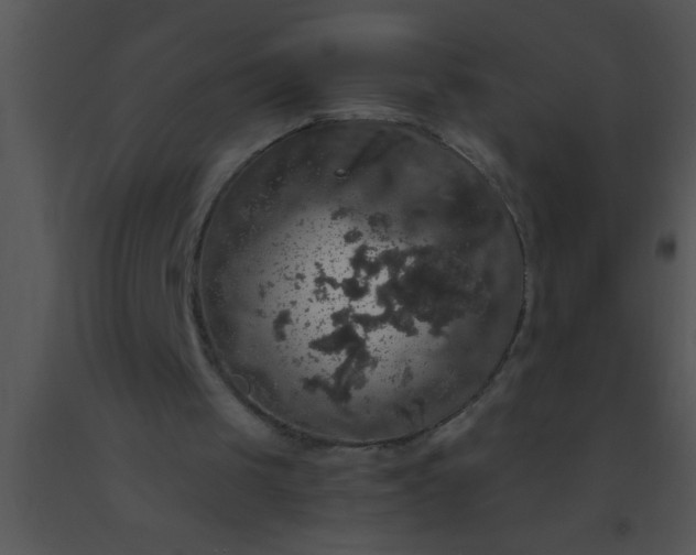 X0000091550049200708311402