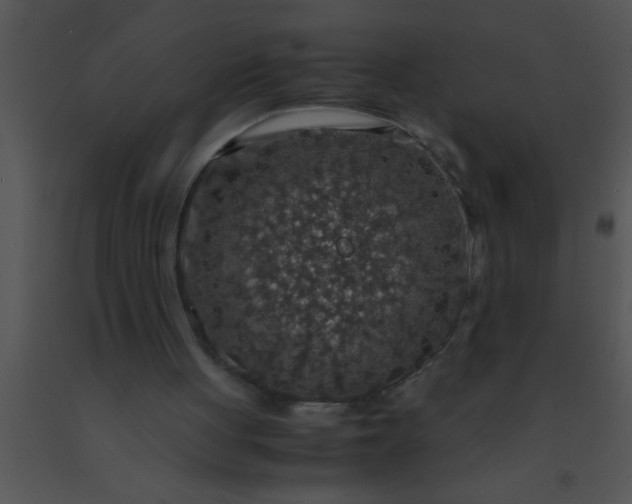 X0000091550051200708311402