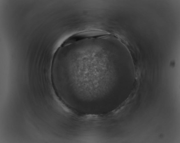 X0000091550052200708311402