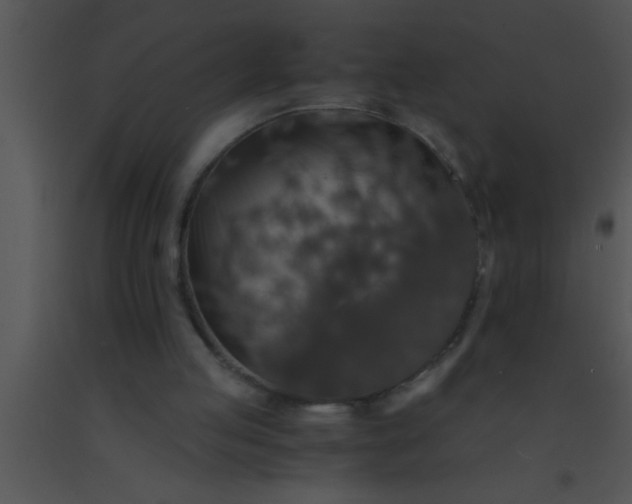 X0000091550053200708311402