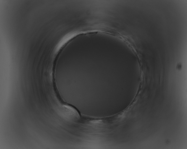 X0000091550054200708311402