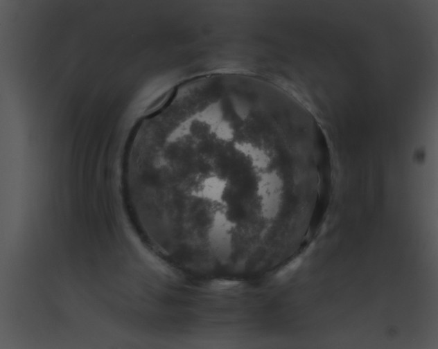X0000091550055200708311402