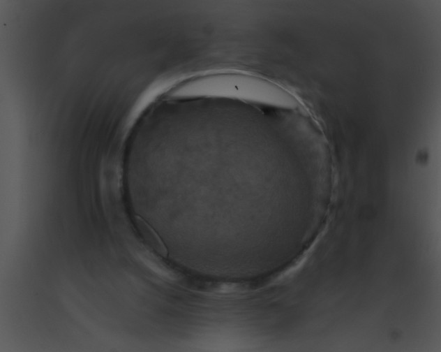 X0000091550056200708311402