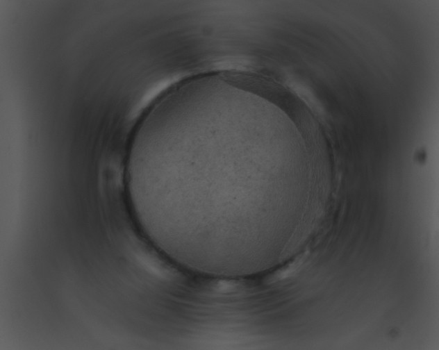 X0000091550060200708311402