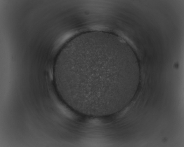 X0000091550062200708311402