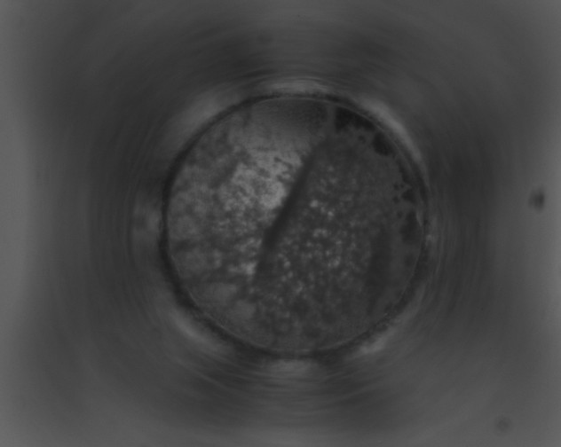 X0000091550063200708311402
