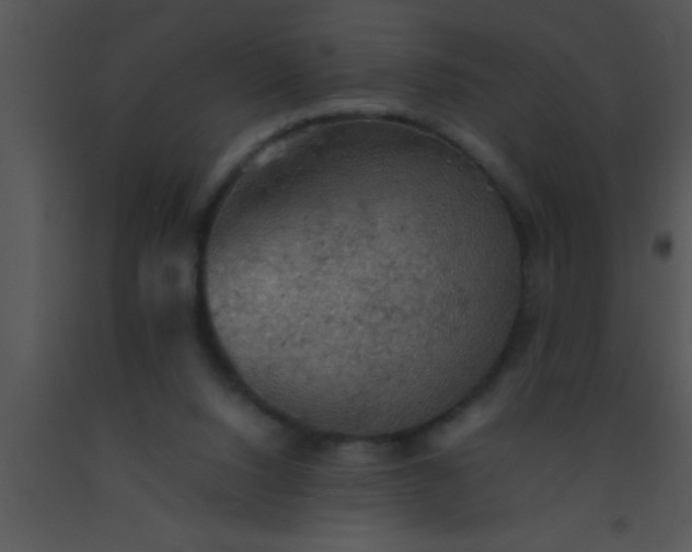 X0000091550064200708311402