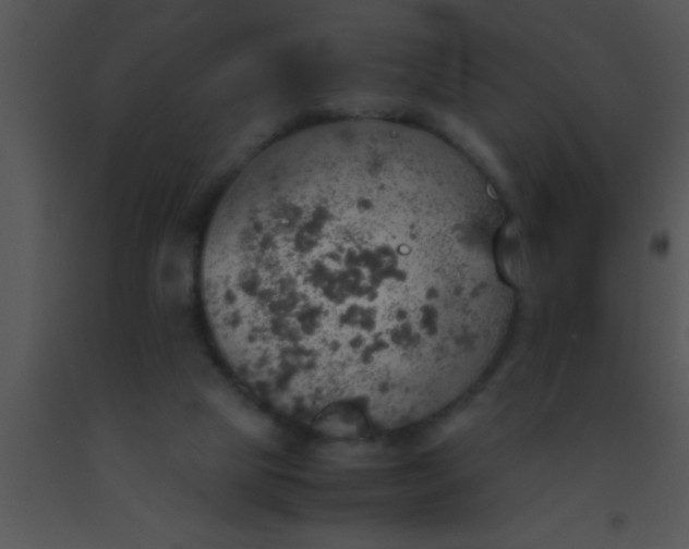 X0000091550065200708311402