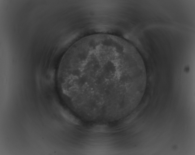 X0000091550066200708311402