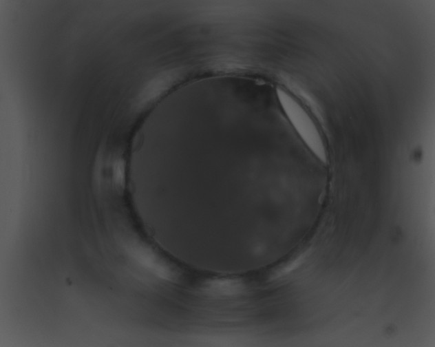 X0000091550067200708311403