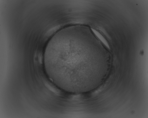 X0000091550068200708311403