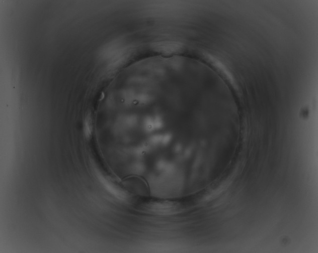 X0000091550069200708311403