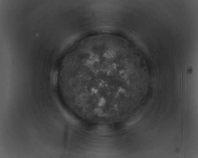 X0000091550070200708311403