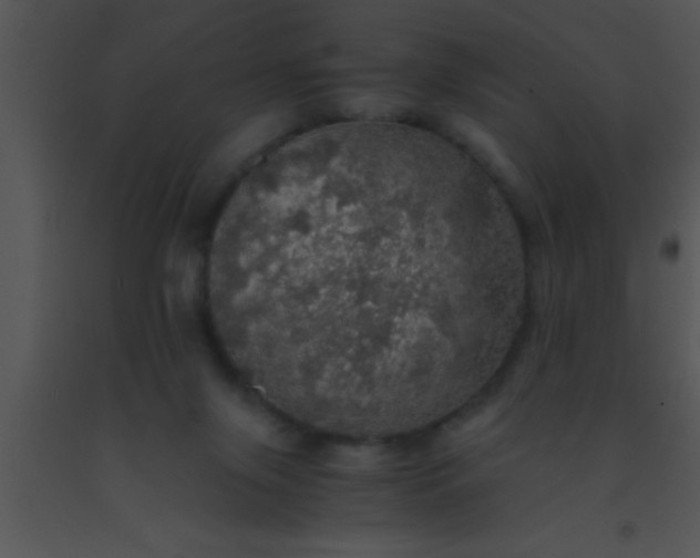 X0000091550071200708311403
