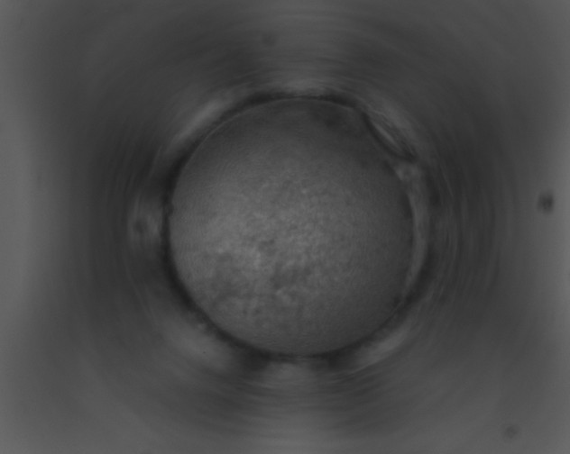 X0000091550072200708311403