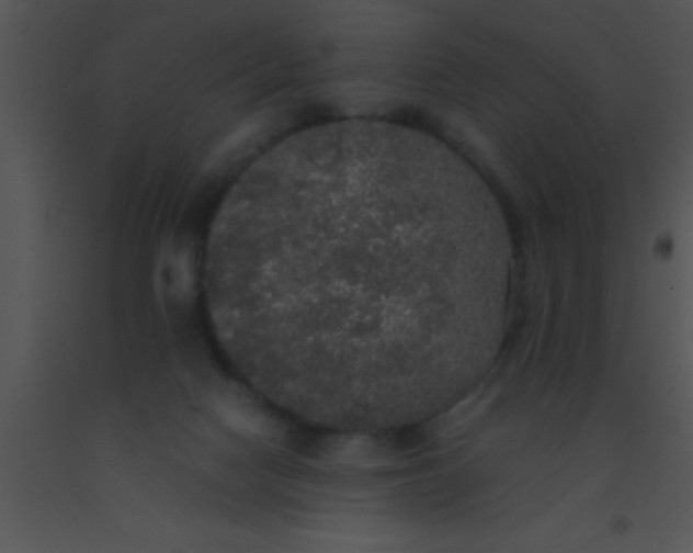 X0000091550074200708311403
